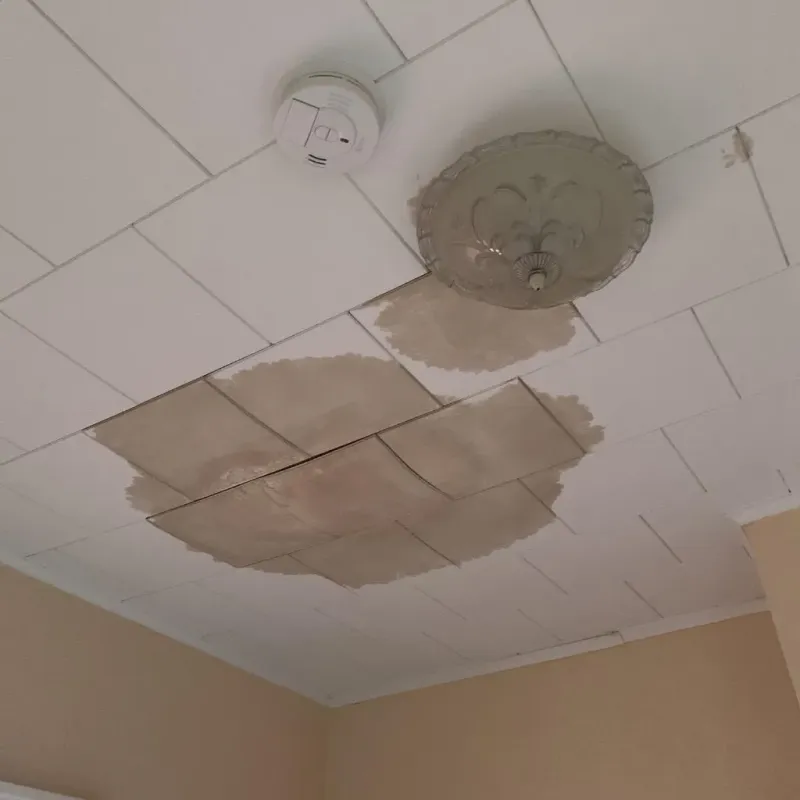 Ceiling Water Damage Repair in Parsippany, NJ