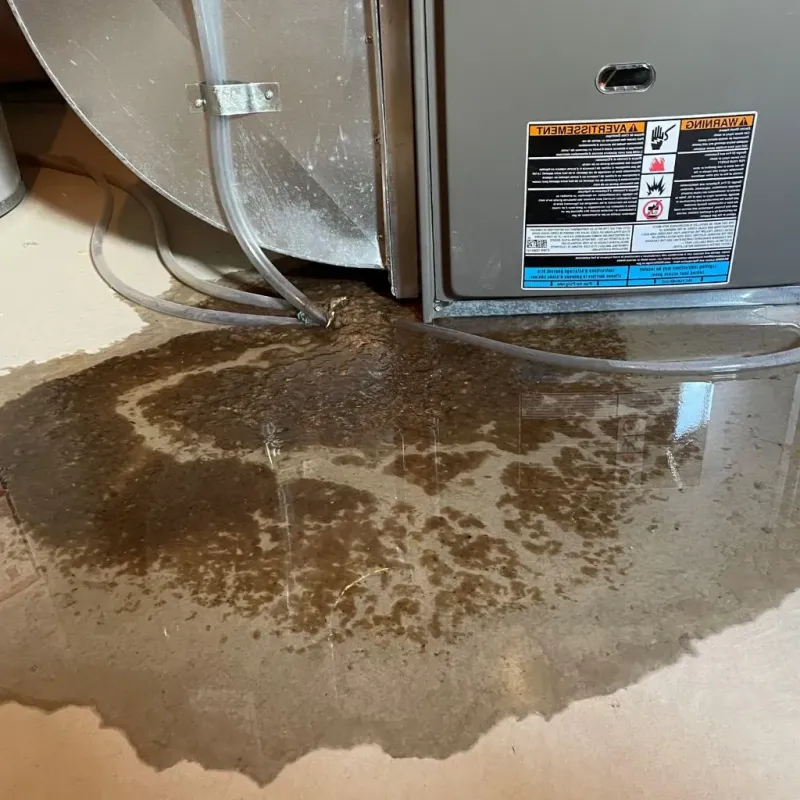 Pipe Burst and Leak Restoration in Parsippany, NJ
