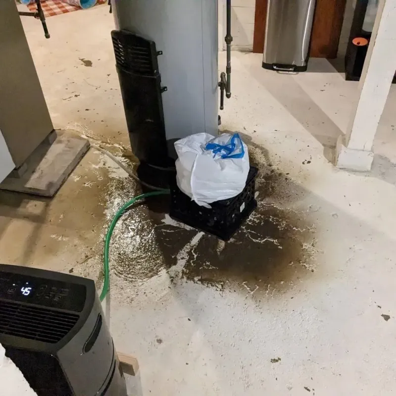 Sewage Backup Cleanup Service in Parsippany, NJ